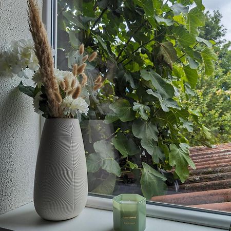 Evasion Verte En Alsace ! Niederschaeffolsheim Εξωτερικό φωτογραφία